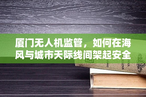 厦门无人机监管，如何在海风与城市天际线间架起安全网？