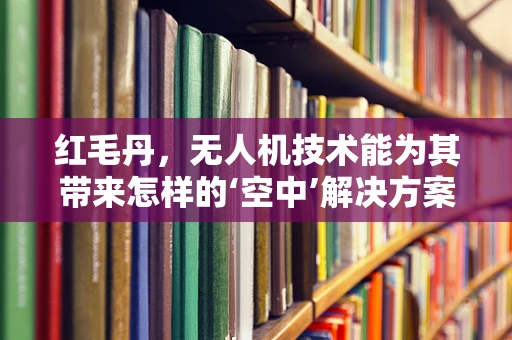 红毛丹，无人机技术能为其带来怎样的‘空中’解决方案？