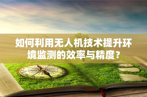 如何利用无人机技术提升环境监测的效率与精度？