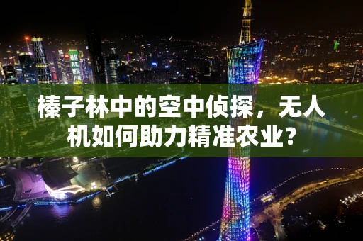 榛子林中的空中侦探，无人机如何助力精准农业？