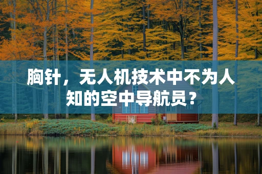 胸针，无人机技术中不为人知的空中导航员？