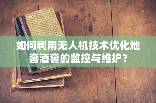 如何利用无人机技术优化地窖酒窖的监控与维护？