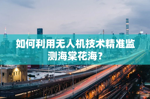 如何利用无人机技术精准监测海棠花海？