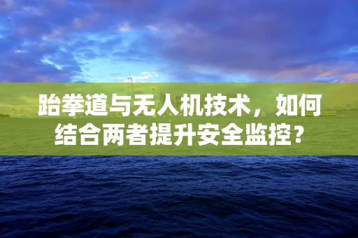 跆拳道与无人机技术，如何结合两者提升安全监控？