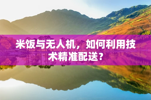 米饭与无人机，如何利用技术精准配送？