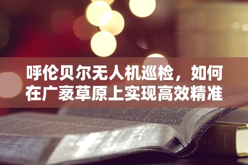 呼伦贝尔无人机巡检，如何在广袤草原上实现高效精准的监测？