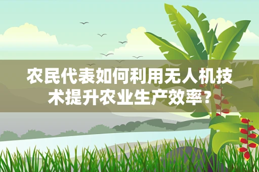 农民代表如何利用无人机技术提升农业生产效率？