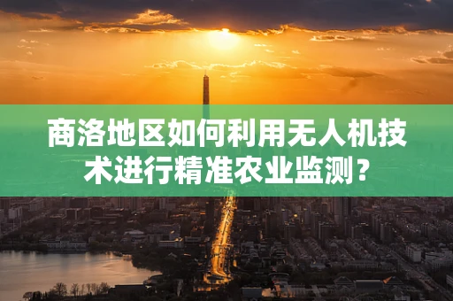 商洛地区如何利用无人机技术进行精准农业监测？