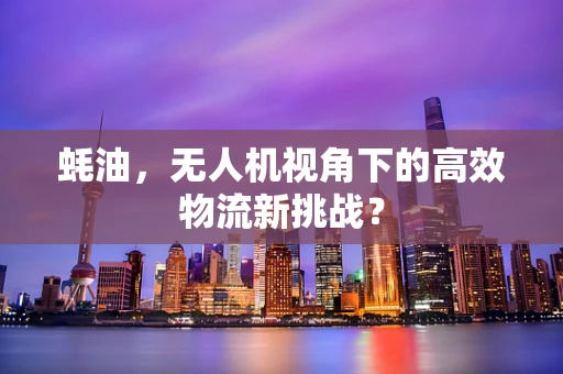 蚝油，无人机视角下的高效物流新挑战？