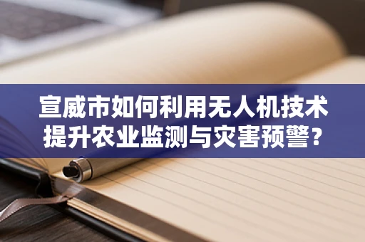 宣威市如何利用无人机技术提升农业监测与灾害预警？