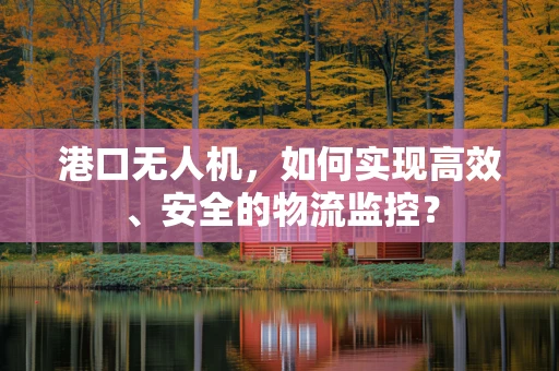 港口无人机，如何实现高效、安全的物流监控？