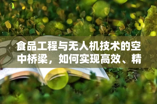 食品工程与无人机技术的空中桥梁，如何实现高效、精准的农产品监测？