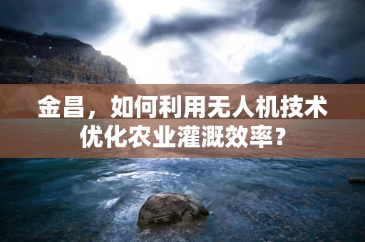 金昌，如何利用无人机技术优化农业灌溉效率？