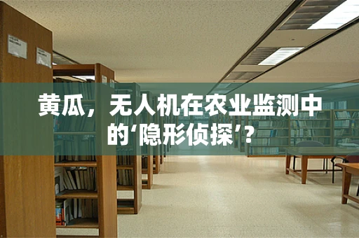 黄瓜，无人机在农业监测中的‘隐形侦探’？