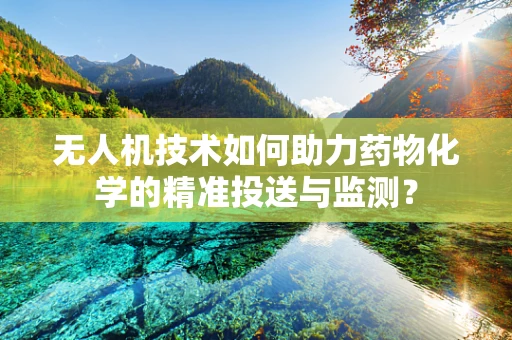 无人机技术如何助力药物化学的精准投送与监测？