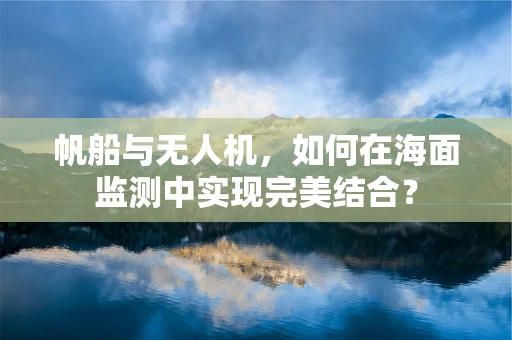 帆船与无人机，如何在海面监测中实现完美结合？