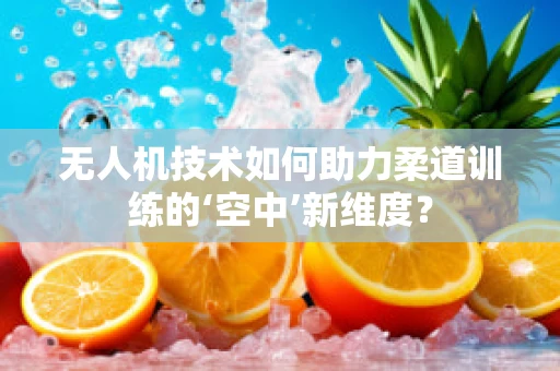 无人机技术如何助力柔道训练的‘空中’新维度？