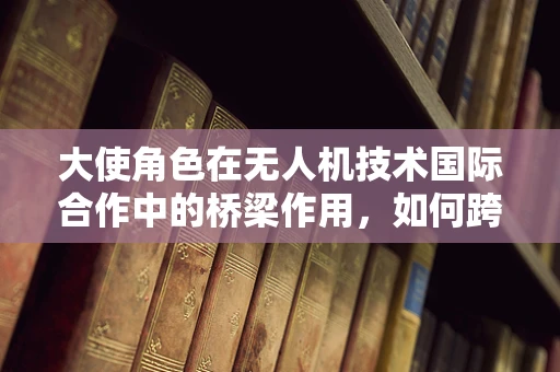 大使角色在无人机技术国际合作中的桥梁作用，如何跨越文化与技术鸿沟？