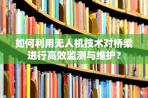 如何利用无人机技术对桥梁进行高效监测与维护？