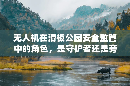 无人机在滑板公园安全监管中的角色，是守护者还是旁观者？