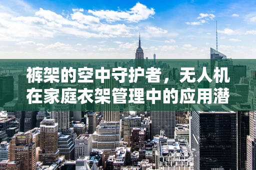 裤架的空中守护者，无人机在家庭衣架管理中的应用潜力？