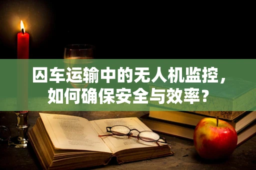 囚车运输中的无人机监控，如何确保安全与效率？